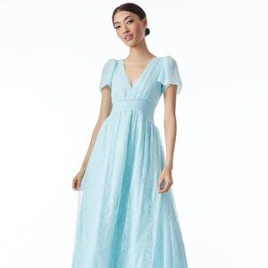 Alice and Olivia Charlsie Gown Powder Blue size 2 NWT MSRP $595